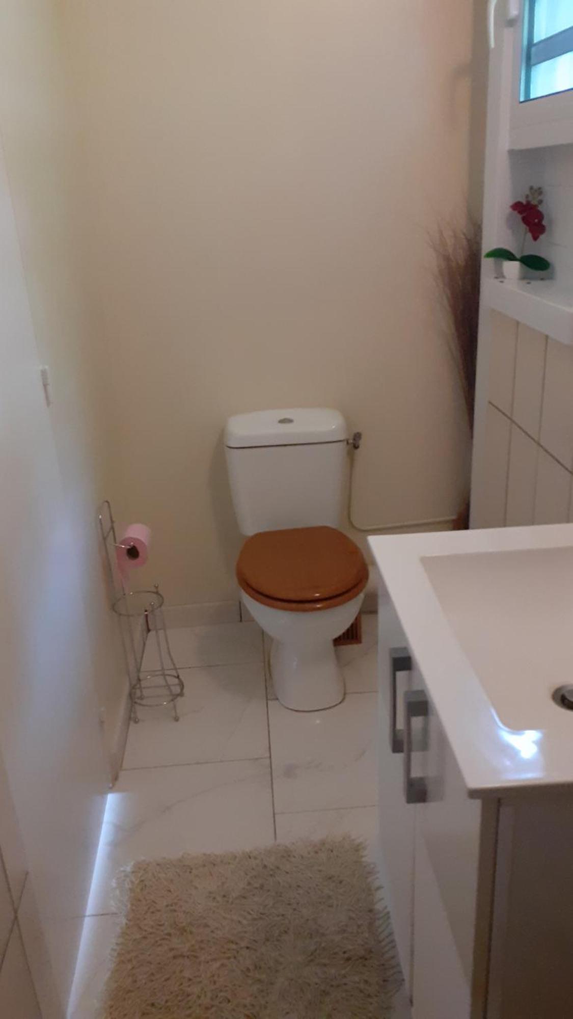 La Suite Odile Piscine Le Lamentin Bilik gambar