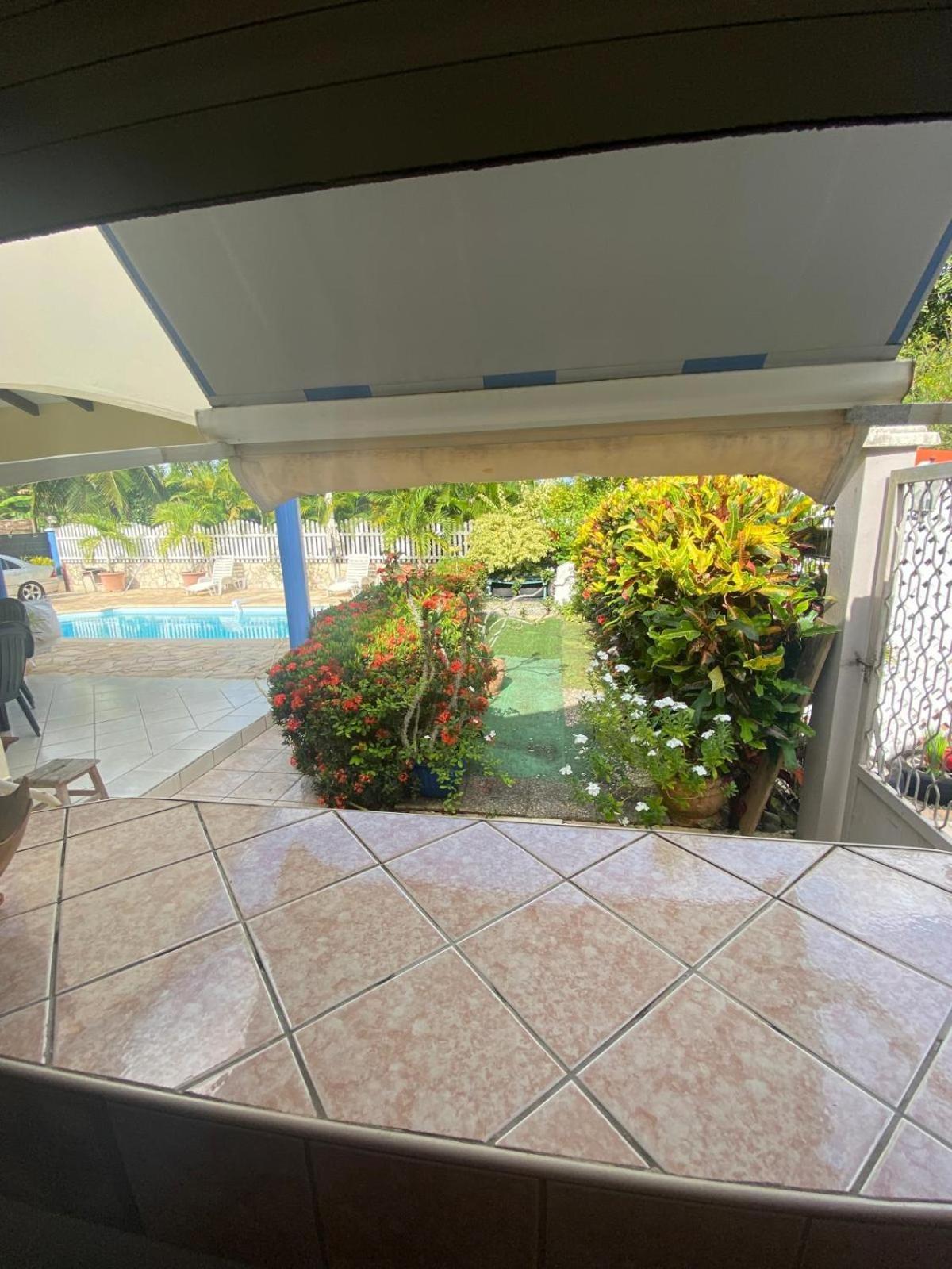 La Suite Odile Piscine Le Lamentin Luaran gambar
